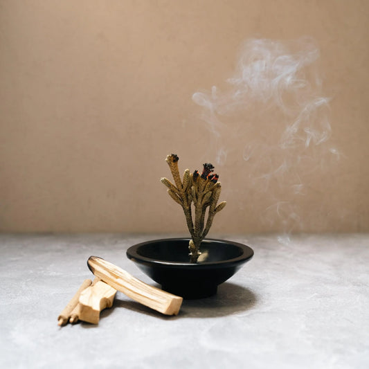 Palo Santo and Palma Dulce Bundle With Unique Charm